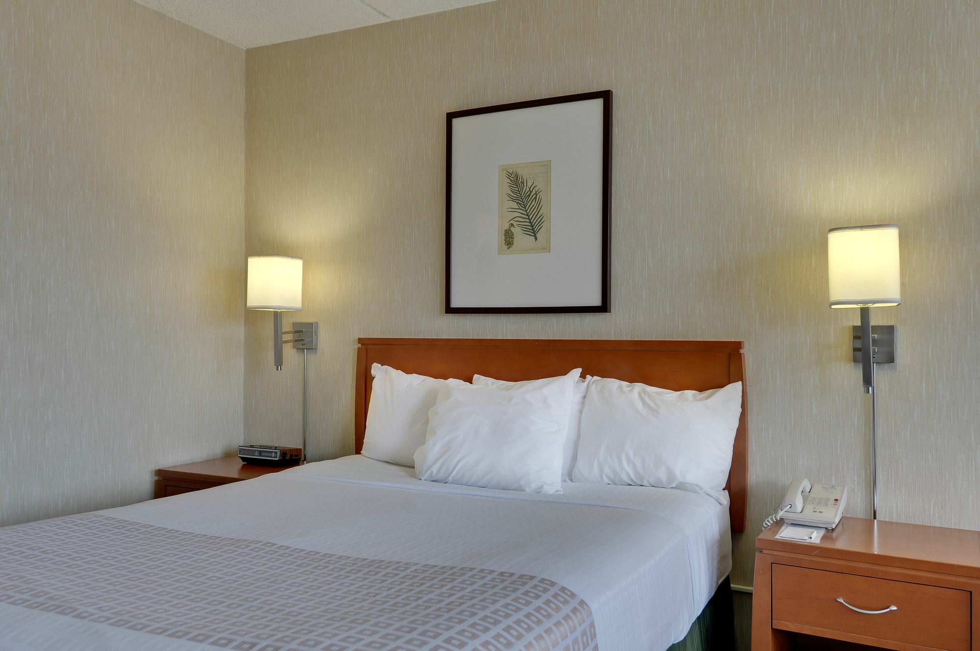 Vagabond Inn Executive Old Town ساكرامنتو المظهر الخارجي الصورة